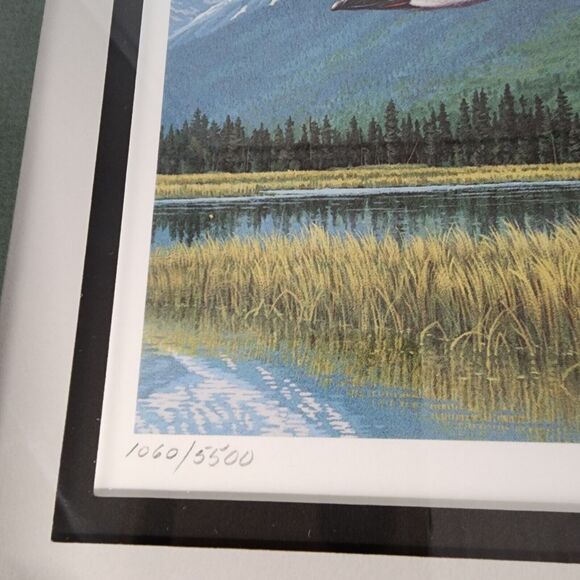 James Beaudoin 1988 Alaska Waterfowl Conservation Stamp Print Framed Art 1989 - Picture 7 of 11
